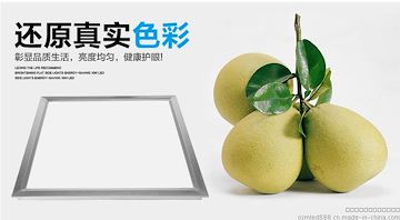 LED面板灯 平析灯 集成吊顶面板灯 节能灯 吸顶灯